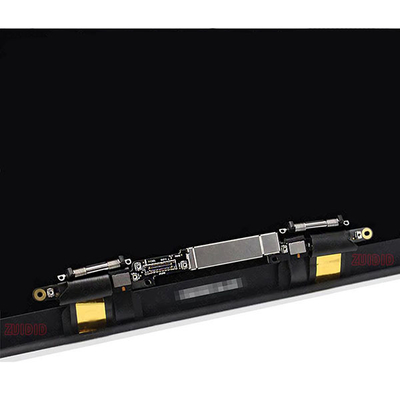 TFT-Grijze de Ruimte van de Vertoningsassemblage, EMC 3456 Macbook A2289 het Schermvervanging